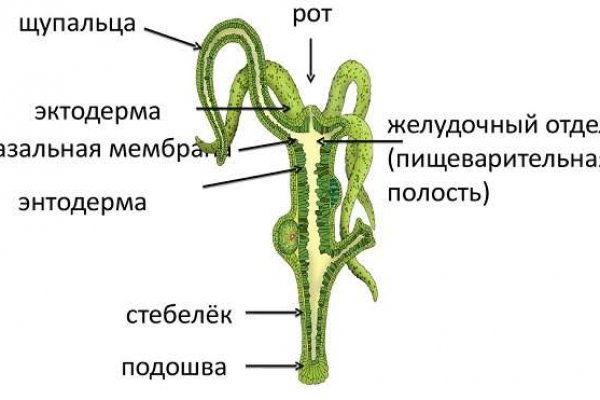 Кракен онион kraken014 com